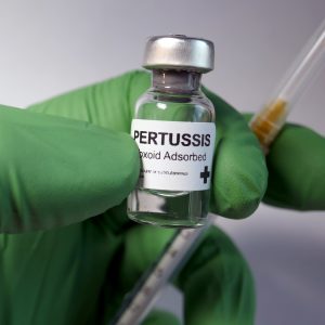 Pertussis vaccine - administration of antigenic material (vaccine) to stimulate an individual's immune system to develop adaptive immunity to a pathogen.